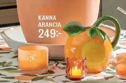 Mio Kanna arancia erbjuda