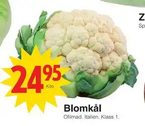 Matöppet Blomkål erbjuda