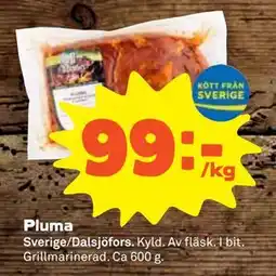Stora Coop Pluma erbjuda