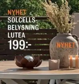 Mio Solcells- belysning lutea erbjuda