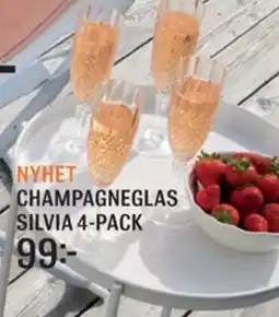 Mio Champagneglas silvia erbjuda