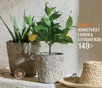 Mio Konstväxt i kruka citronträd erbjuda