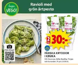 ICA Kvantum Färska kryddor i kruka erbjuda