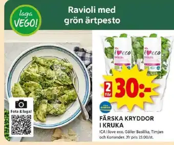 ICA Kvantum Färska kryddor i kruka erbjuda