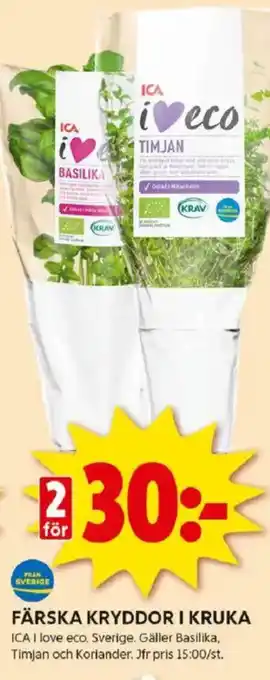 ICA Kvantum Färska kryddor i kruka erbjuda