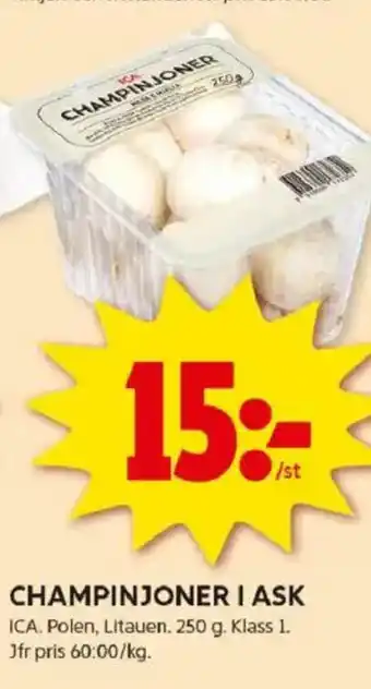 ICA Kvantum Champinjoner i ask erbjuda