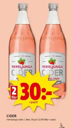 Cider