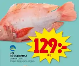 ICA Kvantum Hel rödstrimma erbjuda