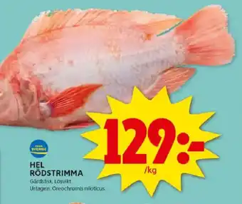 ICA Kvantum Hel rödstrimma erbjuda