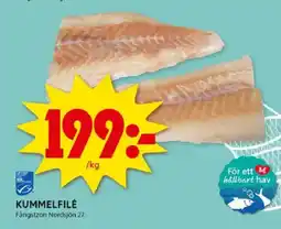 ICA Kvantum Kummelfilé erbjuda