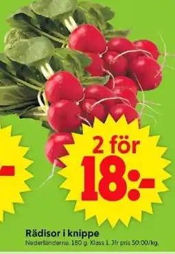 ICA Supermarket Rädisor i knippe erbjuda