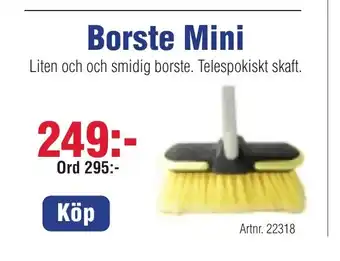 Benns Borste Mini erbjuda
