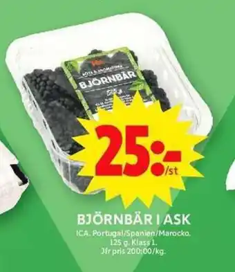 ICA Maxi ICA Björnbär i ask erbjuda