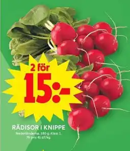 ICA Maxi Rädisor i knippe erbjuda