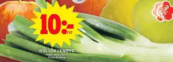 ICA Maxi Gul lök i knippe erbjuda