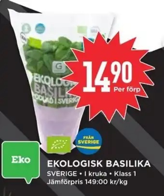 Willys Ekologisk basilika erbjuda