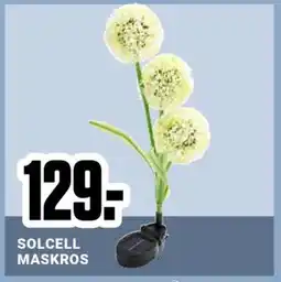 ÖoB SOLCELL MASKROS erbjuda