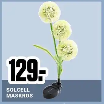 ÖoB SOLCELL MASKROS erbjuda