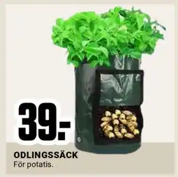 ÖoB ODLINGSSÄCK erbjuda