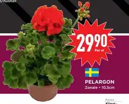 Willys Hemma PELARGON erbjuda