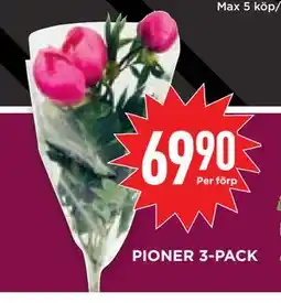 Willys Hemma PIONER 3-PACK erbjuda