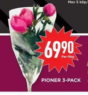 Willys Hemma PIONER 3-PACK erbjuda