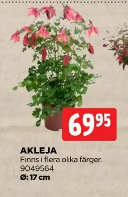 Jem&Fix AKLEJA erbjuda