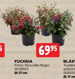 Jem&Fix FUCHSIA erbjuda
