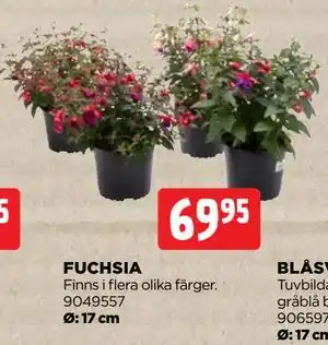 Jem&Fix FUCHSIA erbjuda
