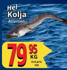 Supergrossen Hel Kolja erbjuda