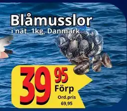 Supergrossen Blåmusslor erbjuda