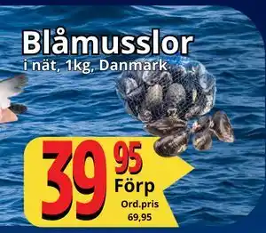 Supergrossen Blåmusslor erbjuda