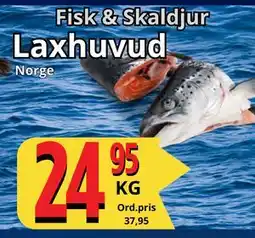 Supergrossen Laxhuvud erbjuda