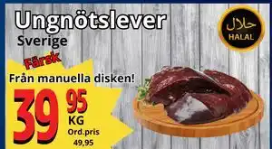 Supergrossen Ungnötslever erbjuda