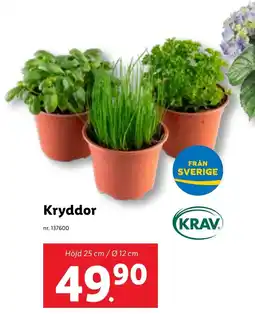 Lidl Kryddor erbjuda