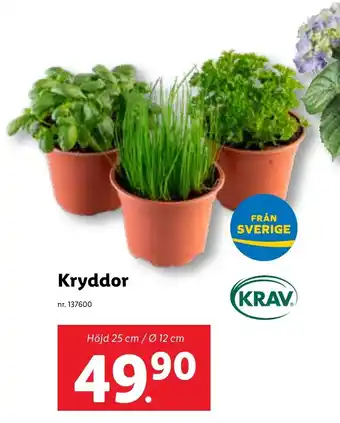 Lidl Kryddor erbjuda