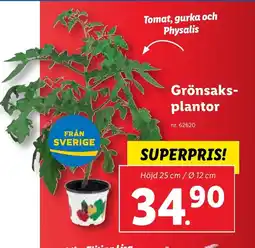 Lidl Grönsaks- plantor erbjuda