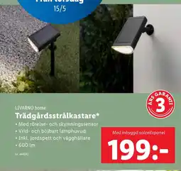 Lidl LIVARNO home Trädgårdsstrålkastare erbjuda