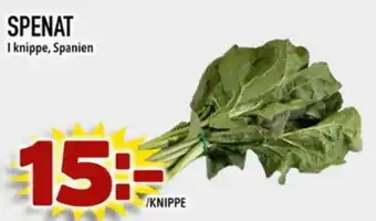 Din Mat SPENAT erbjuda