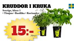 Bonum Matmarknad KRUDDOR I KRUKA erbjuda