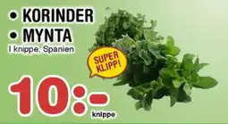 Nya Pulsen • KORINDER • MYNTA erbjuda