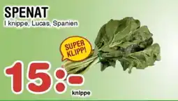 Nya Pulsen SPENAT erbjuda