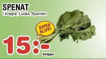 Nya Pulsen SPENAT erbjuda