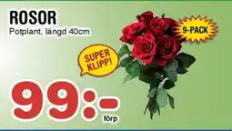 Nya Pulsen ROSOR erbjuda