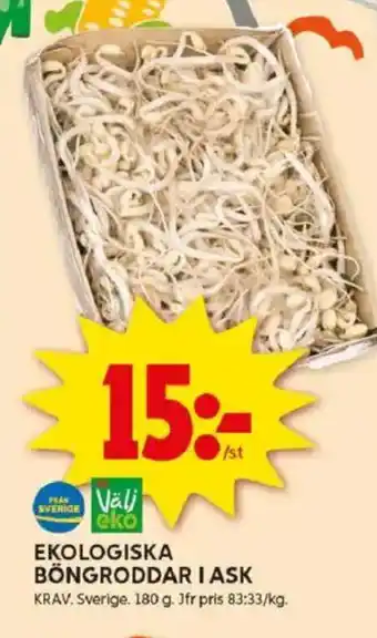 ICA Kvantum Ekologiska böngroddari ask erbjuda