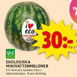 ICA Kvantum Ekologiska minivattenmeloner erbjuda