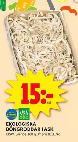 ICA Kvantum Ekologiska böngroddar i ask erbjuda