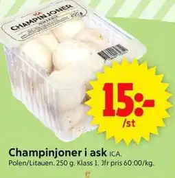 ICA Supermarket Champinjoner i ask erbjuda