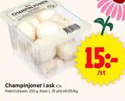 ICA Supermarket ICA Champinjoner i ask erbjuda