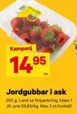 City Gross Jordgubbar i ask erbjuda